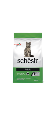 SCHESIR Original, karma...